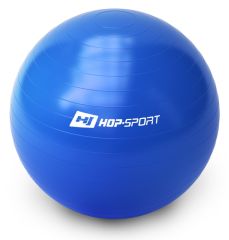 Фитбол Hop-Sport 65cm blue + насос купить недорого