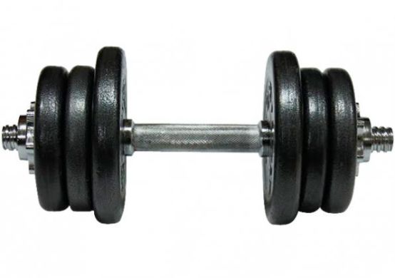 Гантели стальные Newt Home 2х15,5 кг фото товара