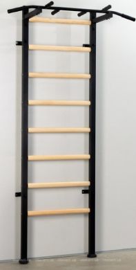 Шведська стінка Ладас Power Wood фото товару