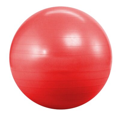 Фітбол Landfit Fitness Ball 55cm фото товару