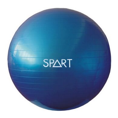 Фітбол Rising Anti Burst Gym Ball 65 см фото товару
