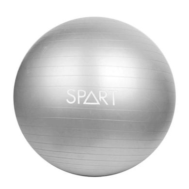 Фітбол Rising Anti Burst Gym Ball 75 см фото товару