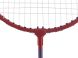 Изображение и фото Ракетка для бадминтона Torneo ST-110014, галерея