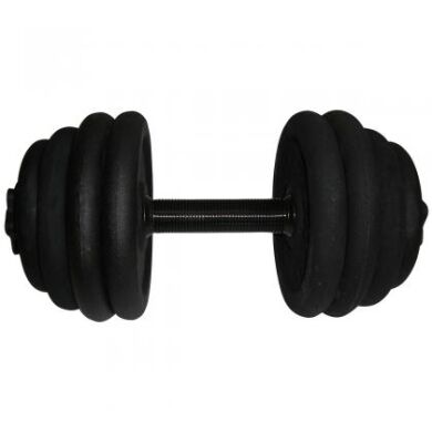 Гантель стальная Newt 19 кг фото товара