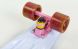 Зображення та фото Скейтборд Penny Board Swirl Fish SK-404-18, галерея