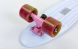 Зображення та фото Скейтборд Penny Board Swirl Fish SK-404-18, галерея