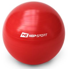 Фитбол Hop-Sport 65cm red + насос купить недорого