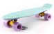 Зображення та фото Скейтборд Penny Original Fish SK-401-10, галерея