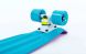 Изображение и фото Скейтборд Penny Rubber Soft Twin Fish SK-410-2, галерея