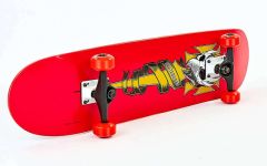 Скейтборд SK-806 купить недорого