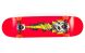 Изображение и фото Скейтборд SK-806, галерея