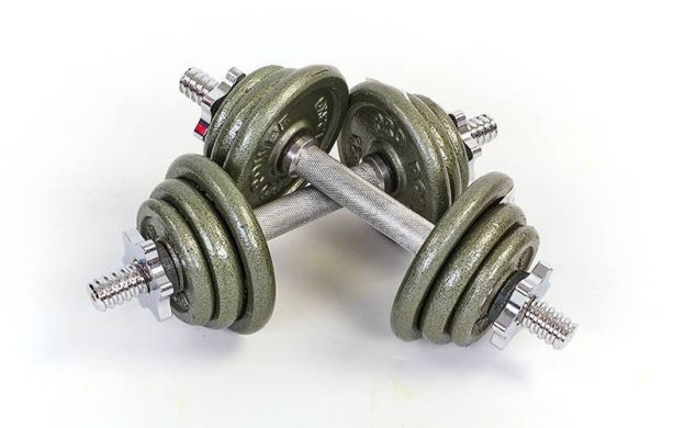 Гантели Zelart TA-1913-14P 2х13 кг фото товара