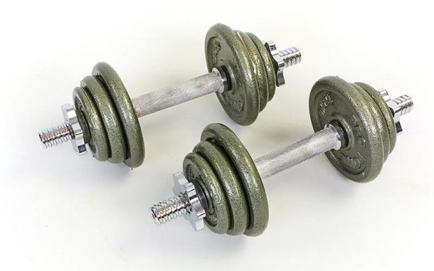 Гантели Zelart TA-1913-14P 2х13 кг фото товара