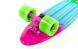 Изображение и фото Скейтборд Penny Board Fish Color SK-407-2, галерея