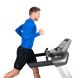 Изображение и фото Беговая дорожка Finnlo Maximum Treadmill, галерея