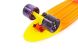 Изображение и фото Скейтборд Penny Board Fish Swirl SK-408-2, галерея