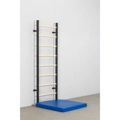 Шведська стінка Fitness-Wood фото товару