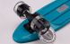 Изображение и фото Скейтборд Penny Led Wheels Fish SK-405-11, галерея